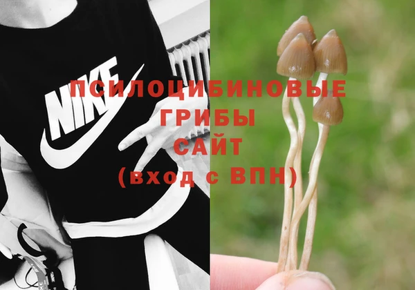 mix Кодинск