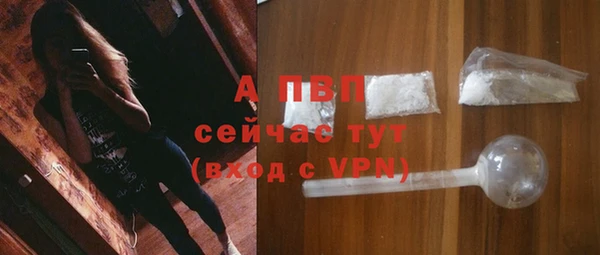 гашик Козельск