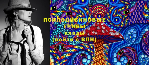 гашик Козельск