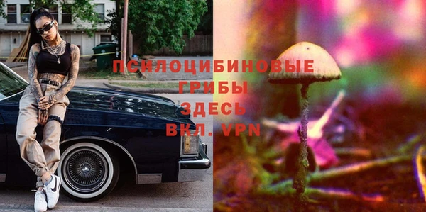 гашик Козельск