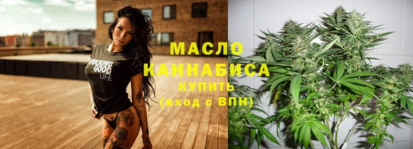 гашик Козельск