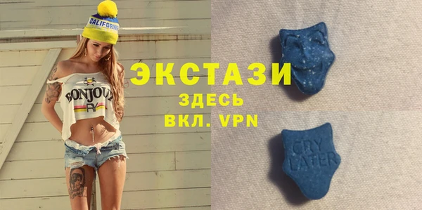 гашик Козельск