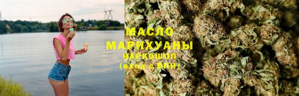 гашик Козельск