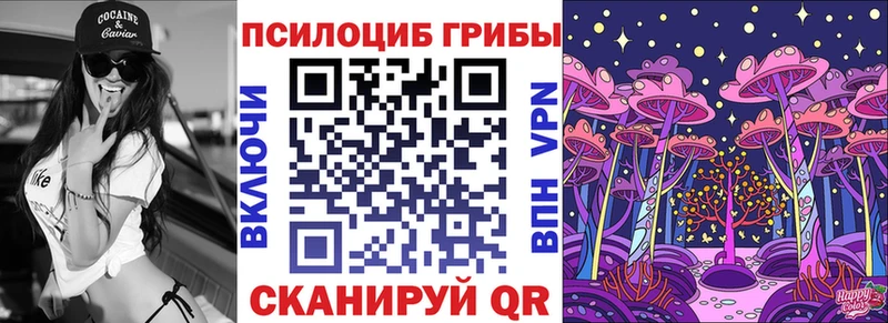 Купить  Наволоки  Галлюциногенные грибы Cubensis 