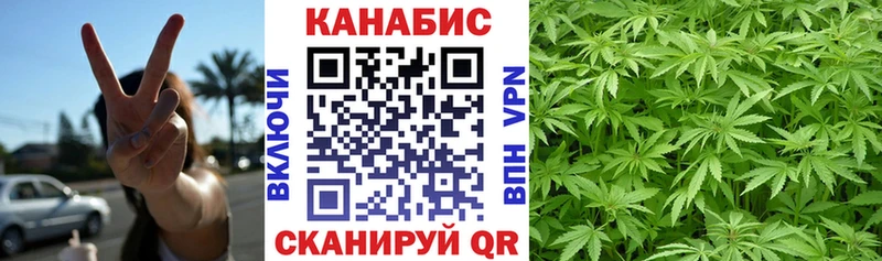 Канабис White Widow  Купить закладки  Наволоки 